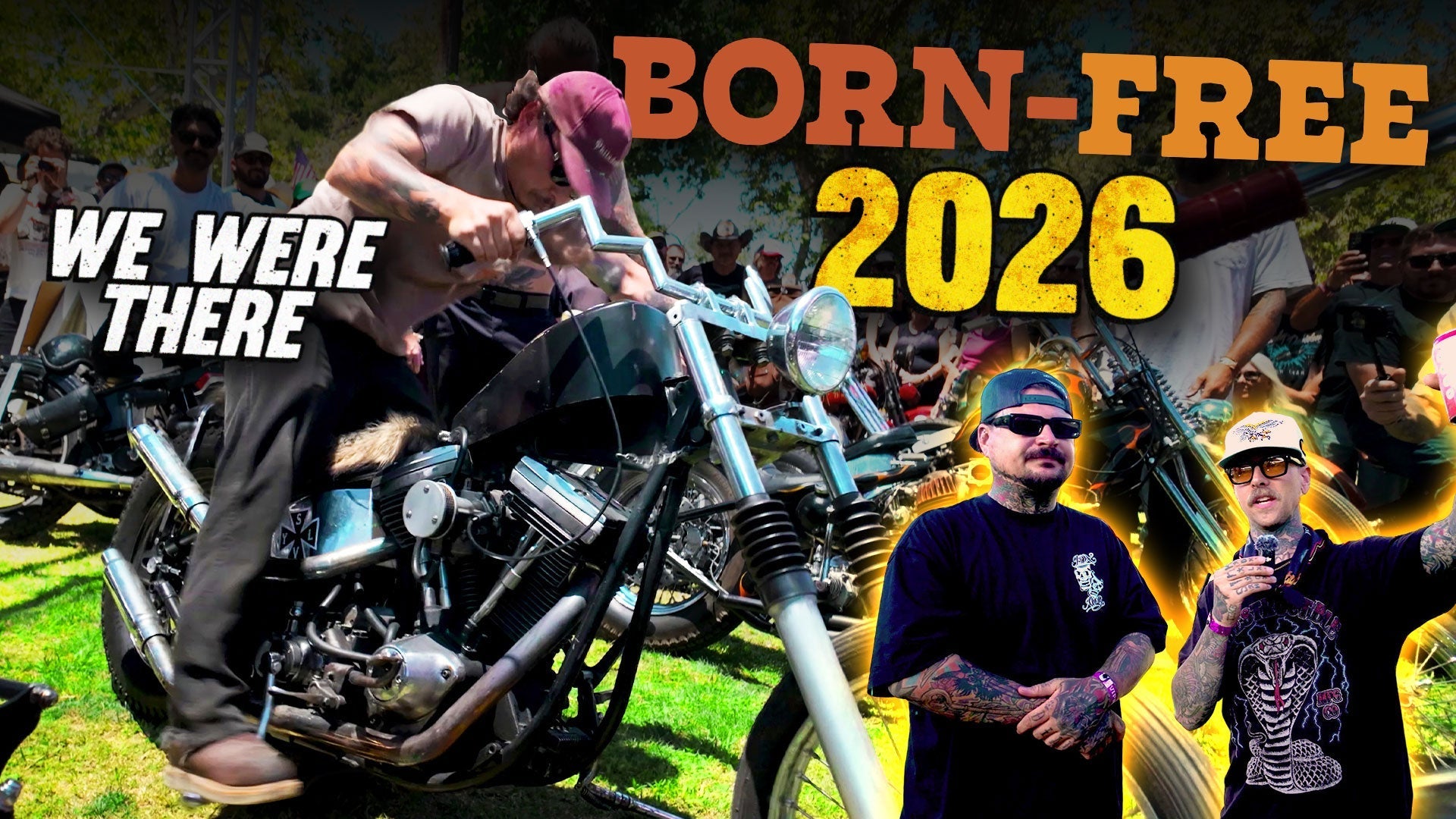 BORN FREE 2026