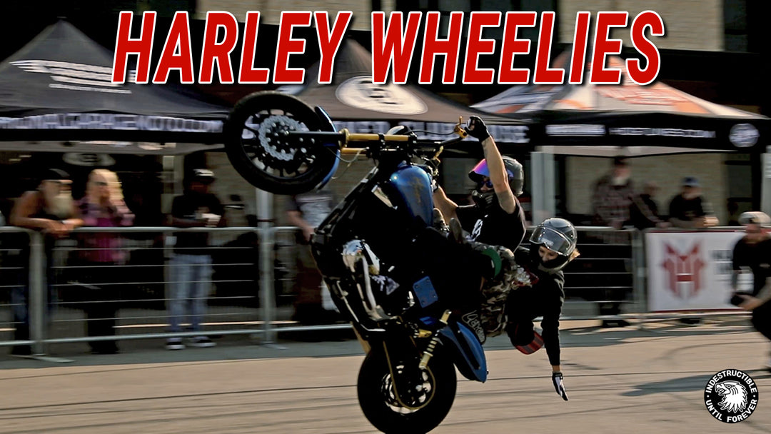 Harley Wheelies & Stunts | Blackbridge Harley Davidson