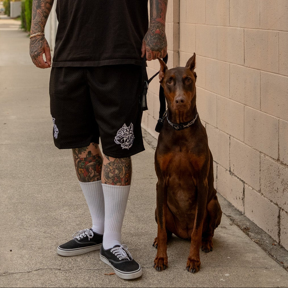 Dawg Mesh Shorts – Indestructible MFG