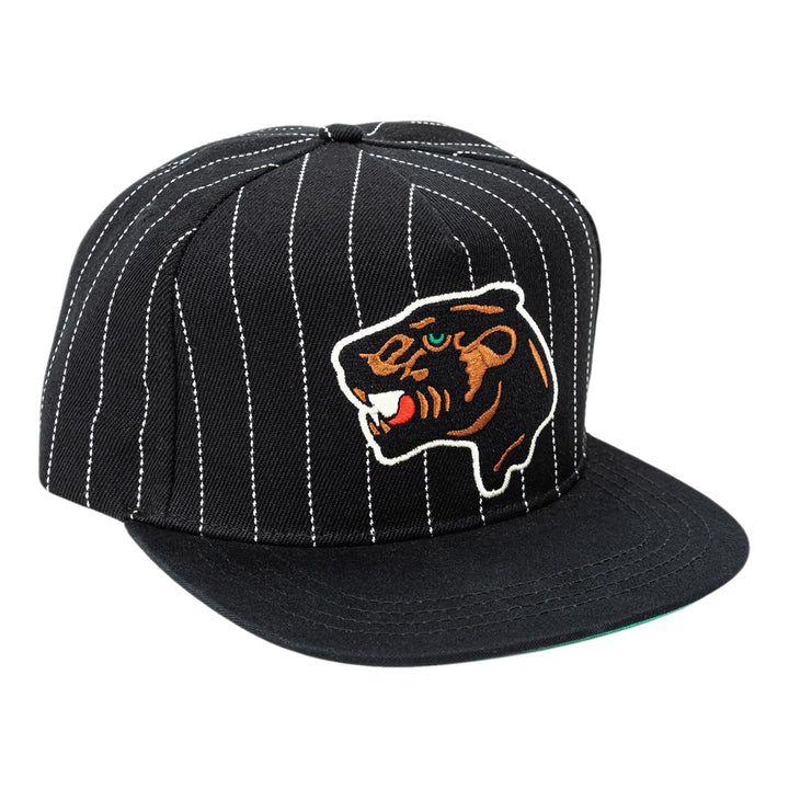 Striker Snapback